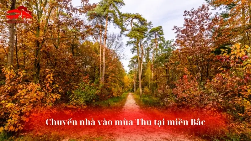 Chuyển nhà vào mùa Thu ở miền Bắc