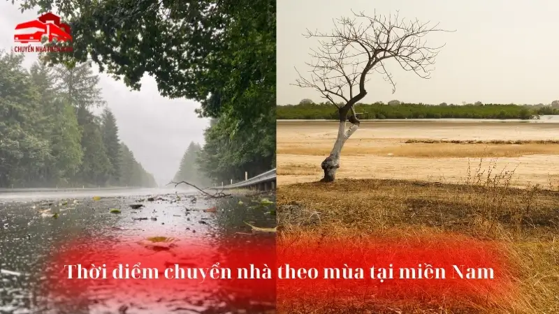 Thời điểm chuyển nhà lý tưởng theo mùa ở miền Nam