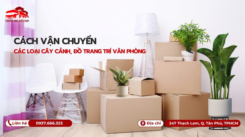 Cách vận chuyển cây cảnh, đồ trang trí văn phòng