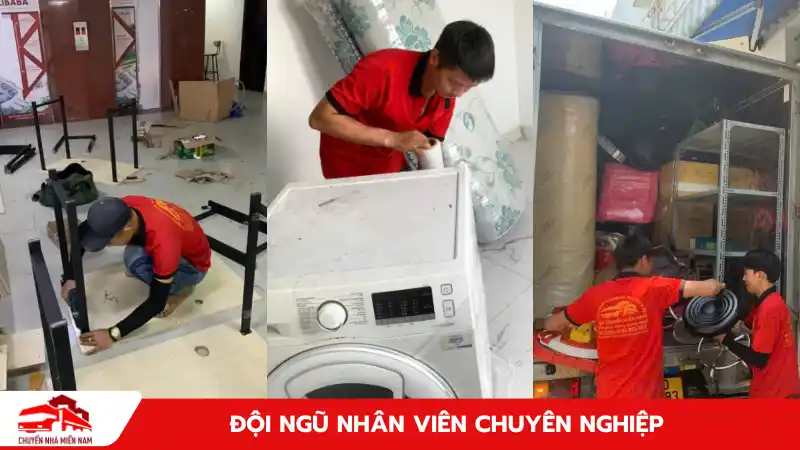 Đội ngữ nhân viên chuyên nghiệp, được đào tạo bài bản