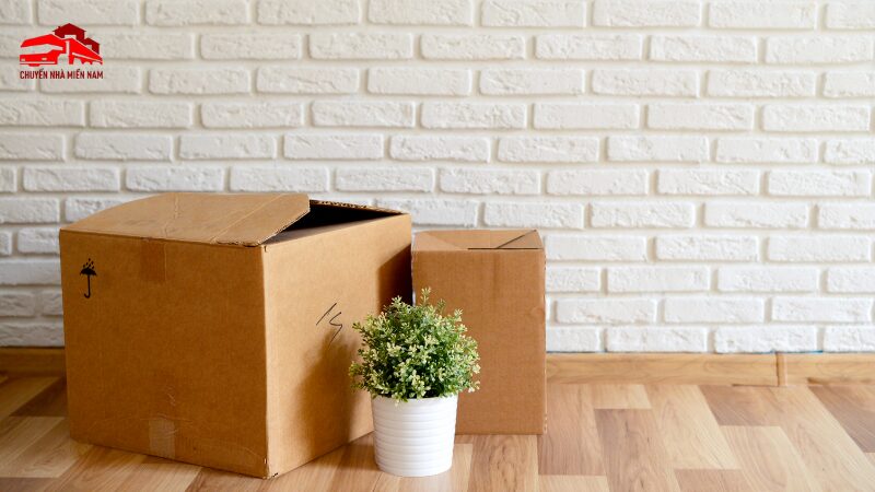 Lưu ý khi vận chuyển cây cảnh, đồ trang trí
