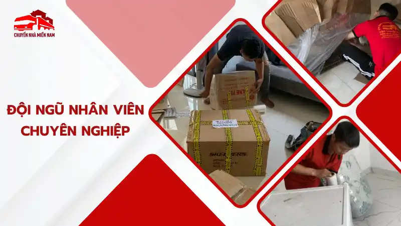 Đội ngũ nhân viên chuyên nghiệp, được đào tạo bài bản
