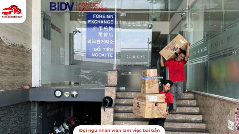 Đội ngũ nhân viên làm việc bài bản