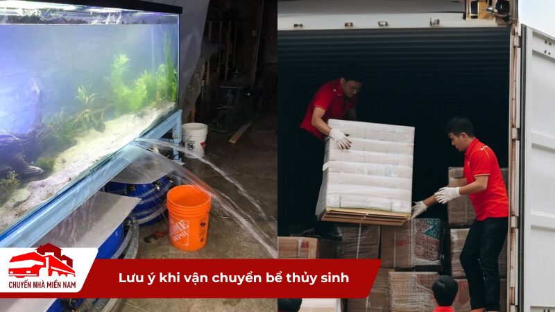 Lưu ý khi vận chuyển bể thủy sinh