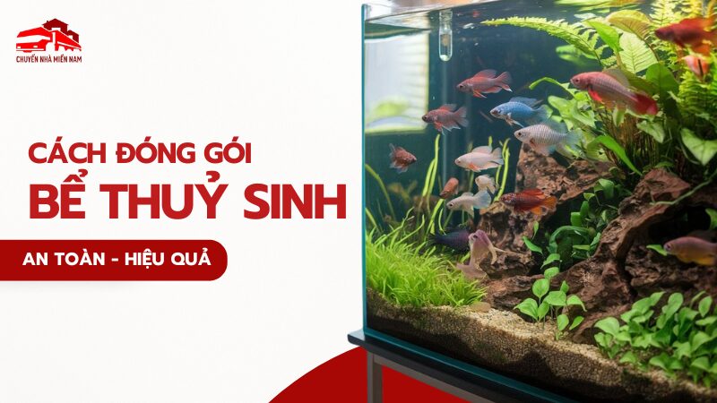 cách đóng gói bể thuỷ sinh