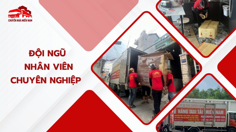 Đội ngũ nhân viên chuyển dọn nhà quận 1 chuyên nghiệp, được đào tạo bài bản