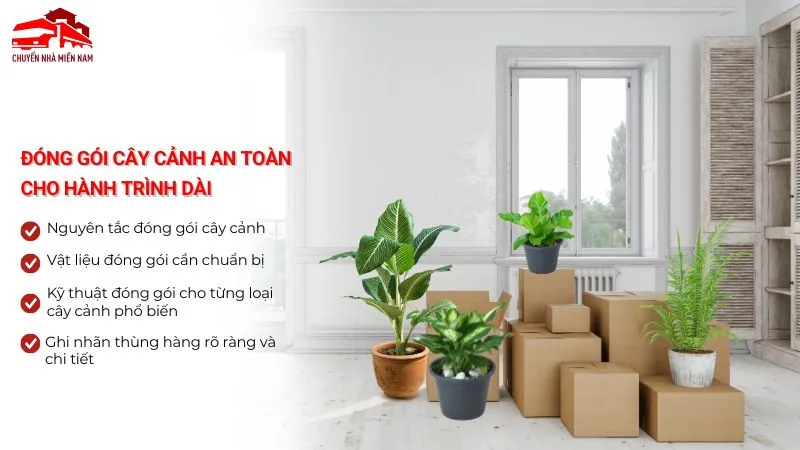 Đóng gói cây cảnh an toàn cho hành trình dài