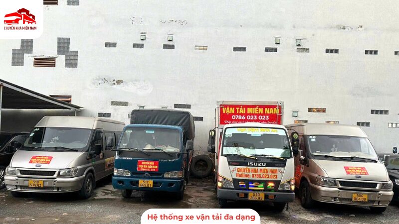 Hệ thống xe vận tải chuyên dụng đa dạng phù hợp với quy mô