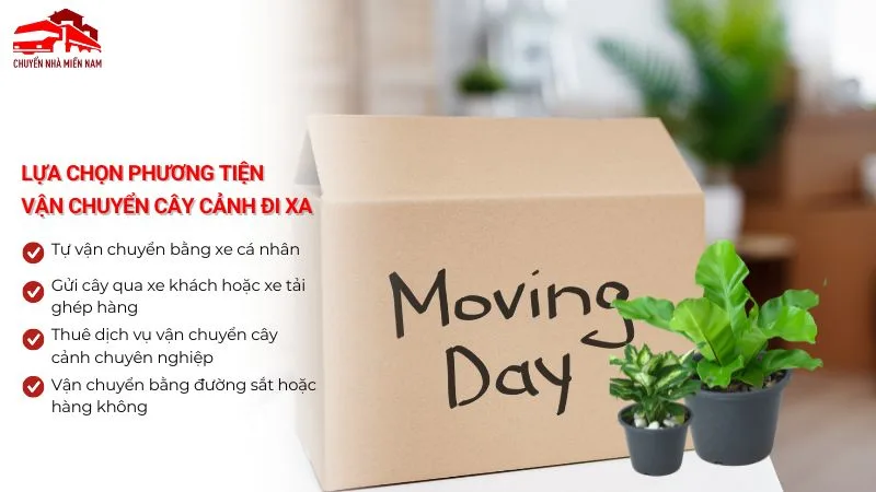 Lựa chọn phương tiện vận chuyển cây cảnh đi xa