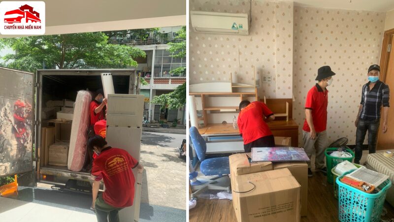 Phân loại đóng gói chuyên nghiệp