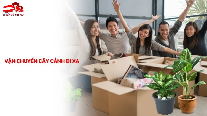Vận chuyển cây cảnh đi xa