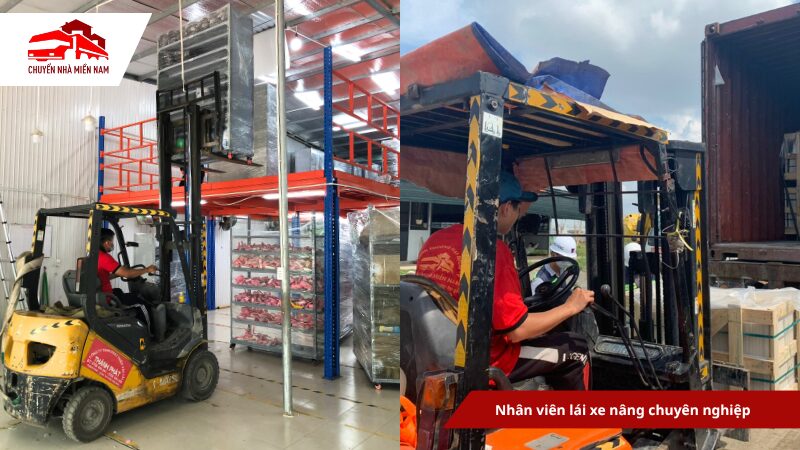 Nhân viên lái xe nâng chuyên nghiệp