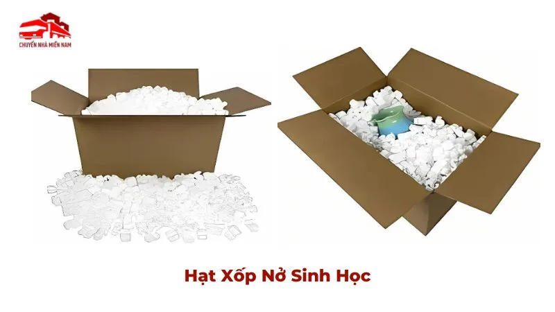 Hạt xốp nở sinh học
