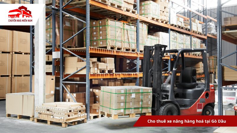 Thuê xe nâng hàng hoá tại gò dầu