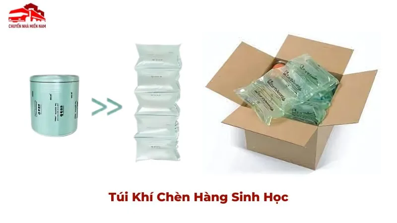 Túi khí chèn hàng sinh học