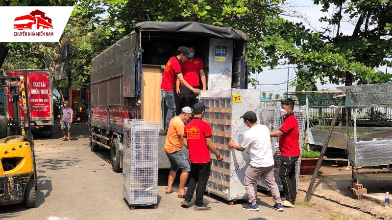 Nhân viên vận chuyển nội thất lên xe tải chuyên dụng