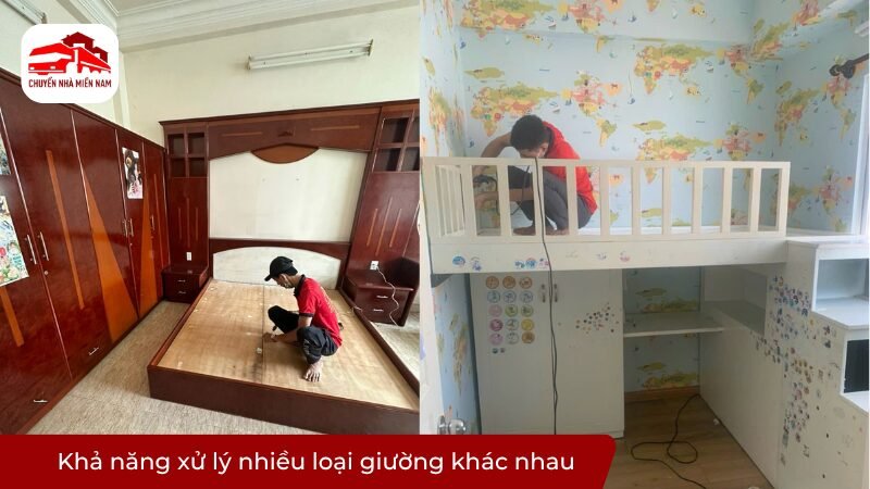 Khả năng xử lý nhiều loại giường