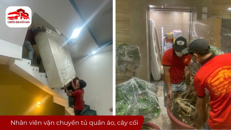 Nhân viên vận chuyển tủ quần áo, cây cối