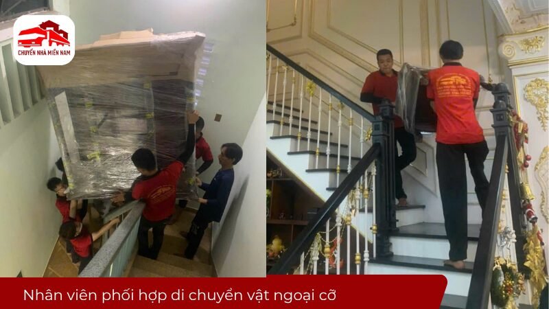 Nhân viên phối hợp di chuyển vật ngoại cỡ