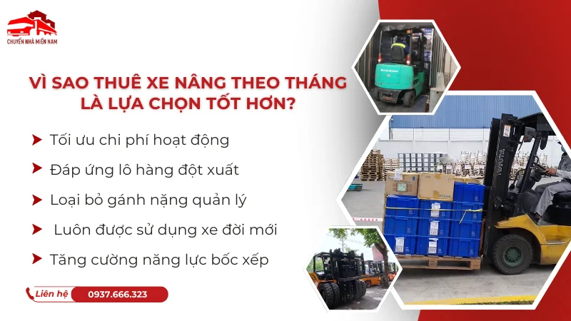 Vi sao thuê xe nâng theo tháng là lựa chọn tốt hơn